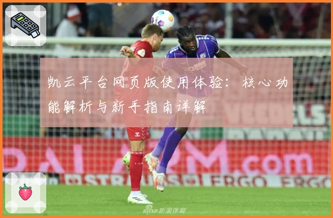 凯云平台网页版使用体验：核心功能解析与新手指南详解