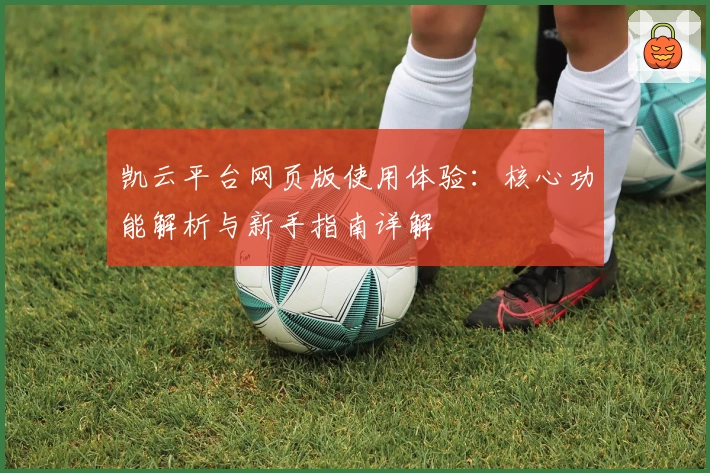 凯云平台网页版使用体验：核心功能解析与新手指南详解