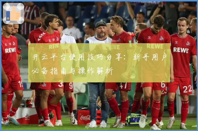 开云平台使用技巧分享:新手用户必备指南与操作解析