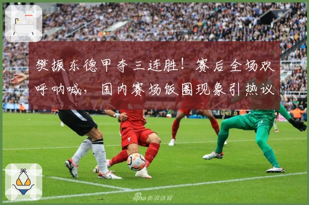 樊振东德甲夺三连胜！赛后全场欢呼呐喊，国内赛场饭圈现象引热议