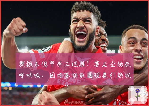 樊振东德甲夺三连胜！赛后全场欢呼呐喊，国内赛场饭圈现象引热议