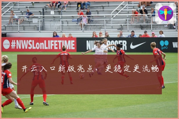 开云入口新版亮点，更稳定更流畅