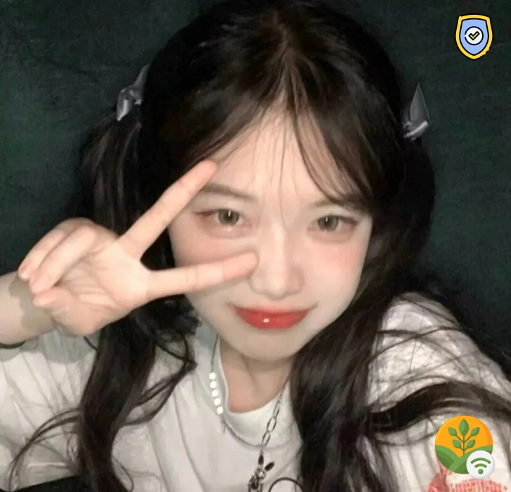 假新闻党（广东省）